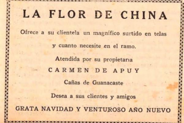 2. LA FLOR DE CHINA - Carmen de Apuy
